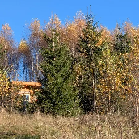 Hobbitowka * Szarocin