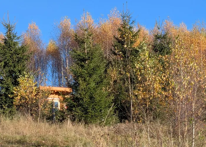 Hobbitowka * Szarocin